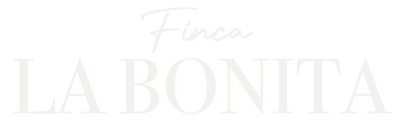 LA BONITA